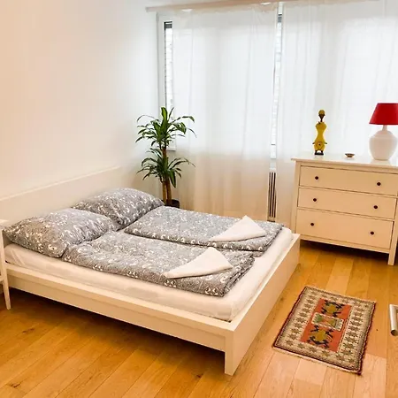 Lovely New Apartment, Central, Free Parking * Salzburg