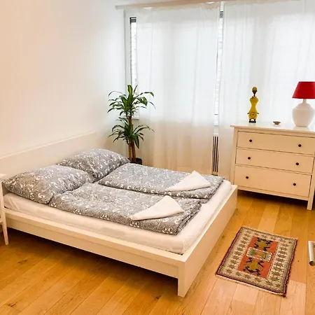 Lovely New Apartment, Central, Free Parking * Salzburg